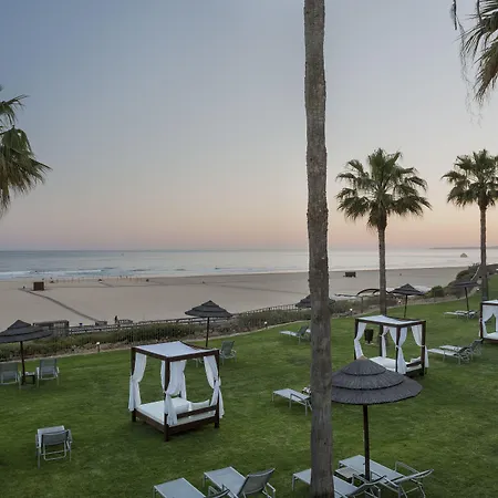 Ap Oriental - Adults Friendly